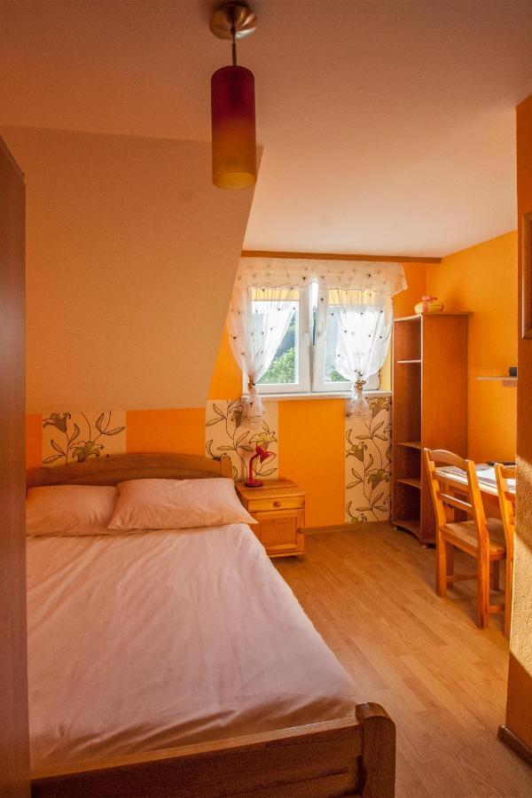 Bieszczadzkie Wzgorze Homestay Myczkow